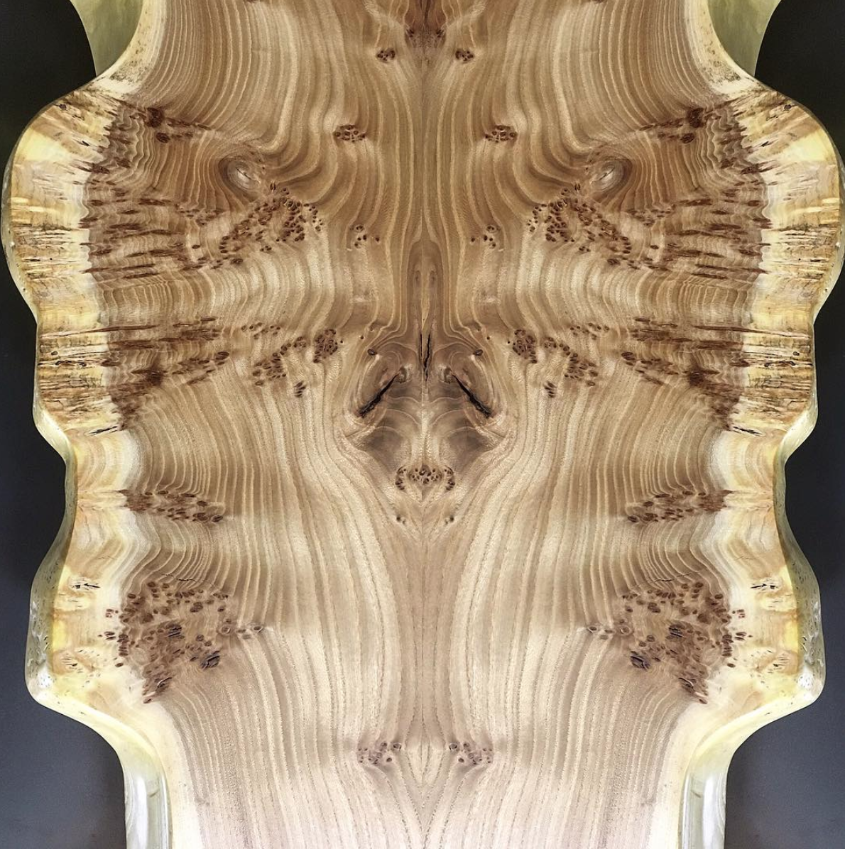 Book matched Burled elm slabs