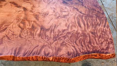 denver wood slabs : wood slab inventory & custom fabrication