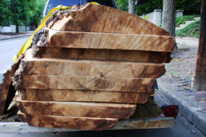 Our first tiny trailer transporting a tree we had milled. 