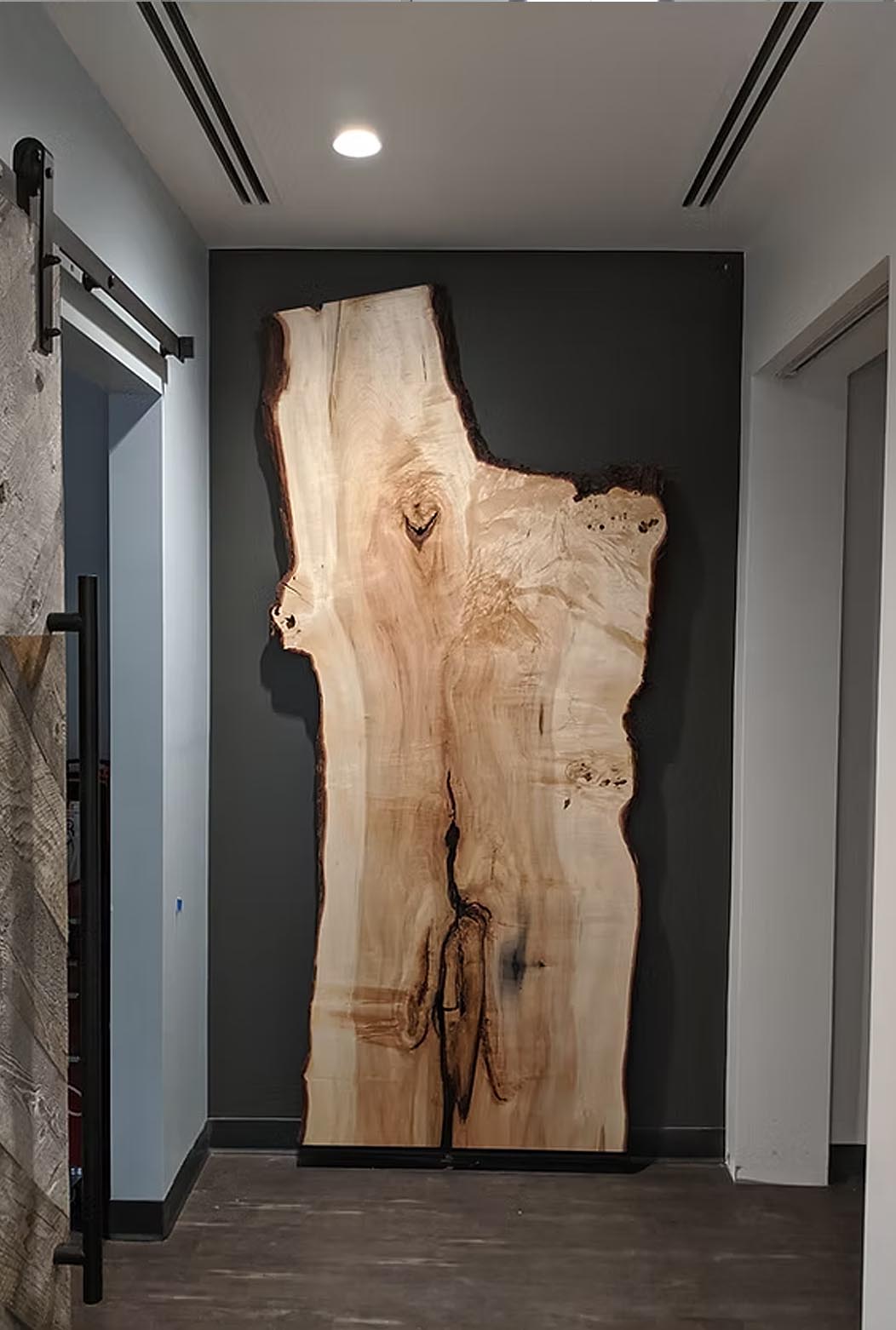 Live edge wood slab wall art