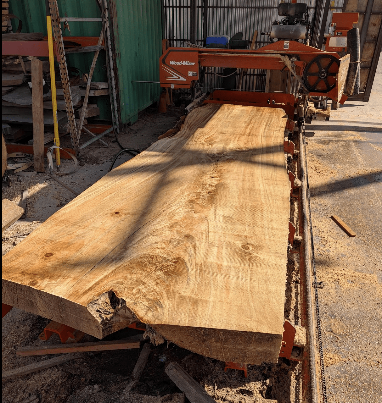 Milling a giant, local cottonwood.